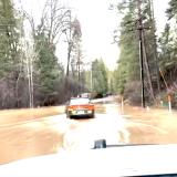 Flooded Forest Road Drive
