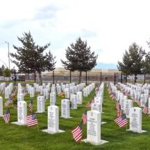 Patriotic Tribute at a Veterans' Cemetery Patriotic Tribute at a Veterans' Cemetery