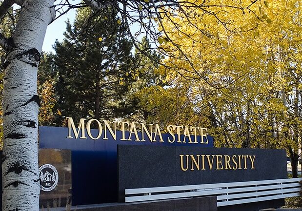 Montana State University north entrance Montana State University north entrance