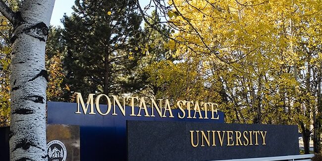 Montana State University north entrance