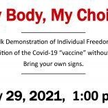Face of Freedom, My Body, My Choice Rally.