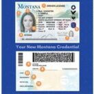 Montana Driver License Sample