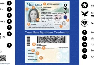 Montana Driver License Sample