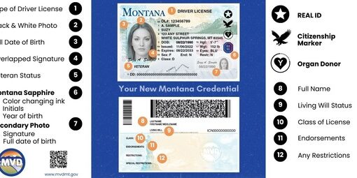 Montana Driver License Sample