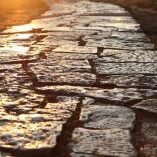 “Rome was a poem pressed into service as a city.” —Anatole Broyard “Rome was a poem pressed into service as a city.” —Anatole Broyard