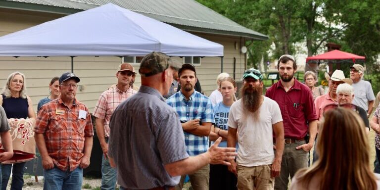 Community Gathering and Outdoor Discussion
