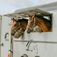 shallow focus photo of brown horses