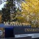 Montana State University north entrance