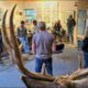 FWP Workshop on Mule Deer Management