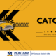 CatCab Safety Awareness Poster